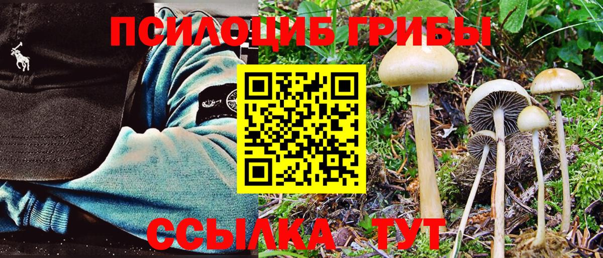 Удомля  Галлюциногенные грибы Magic Shrooms  Вход с VPN 