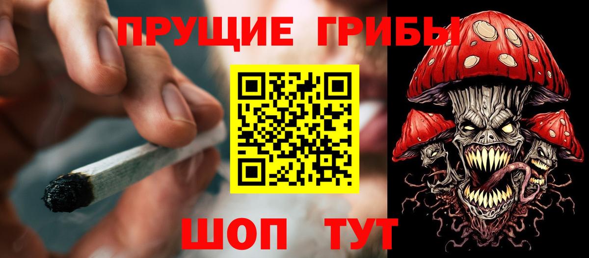 Канабис Удомля