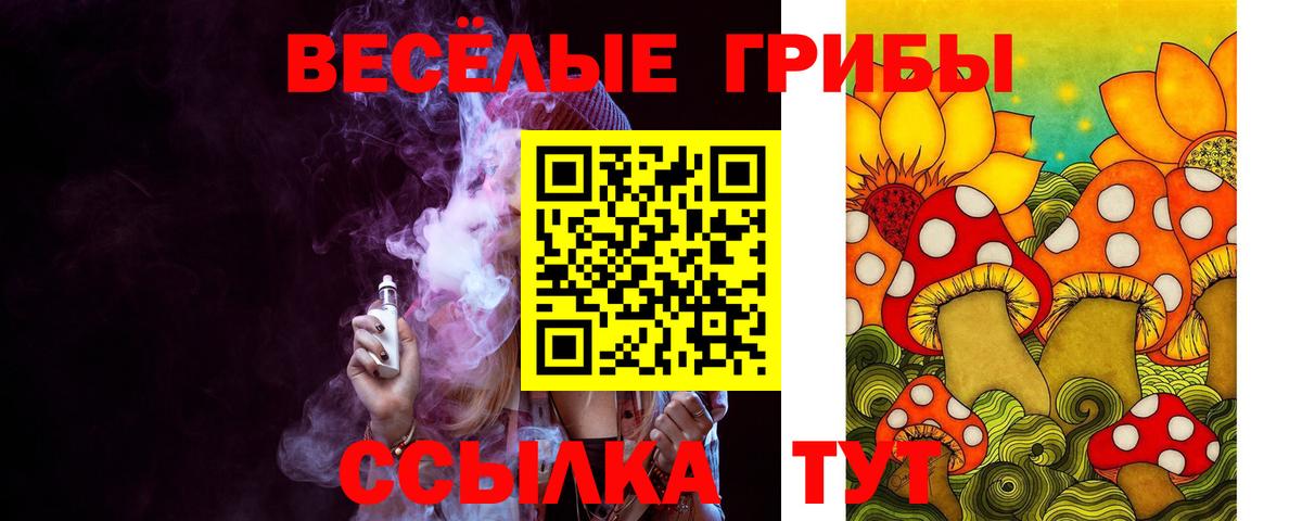 Псилоцибиновые грибы Psilocybine cubensis Удомля